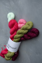 Load image into Gallery viewer, Merry Little Christmas Minis Set 5x20g

