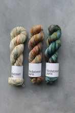 Load image into Gallery viewer, Conkers At Dawn - 4ply - Hand-dyed yarn
