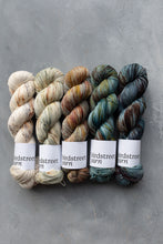 Load image into Gallery viewer, Conkers At Dawn - 4ply - Hand-dyed yarn
