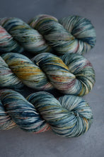 Load image into Gallery viewer, Molly&#39;s Garden - 4ply - Hand-dyed yarn

