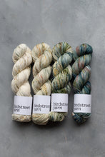 Load image into Gallery viewer, Molly&#39;s Garden - 4ply - Hand-dyed yarn
