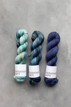 Load image into Gallery viewer, Blue Iguana - 4ply - Hand-dyed yarn
