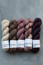 Load image into Gallery viewer, Plum Rose - 4ply - hand dyed yarn

