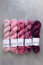 Load image into Gallery viewer, Currant Affairs -  4ply  Hand-dyed yarn
