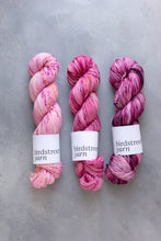 Load image into Gallery viewer, Raspberry Special -  4ply  Hand-dyed yarn
