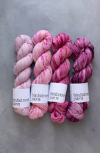 Load image into Gallery viewer, Raspberry Special -  4ply  Hand-dyed yarn
