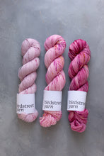 Load image into Gallery viewer, Raspberry Special -  4ply  Hand-dyed yarn
