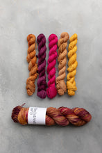 Load image into Gallery viewer, Reimagined Yarn Club - August - Fallin&#39; For You 100g or 5x20g Minis
