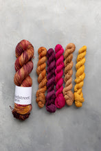 Load image into Gallery viewer, Reimagined Yarn Club - August - Fallin&#39; For You 100g or 5x20g Minis
