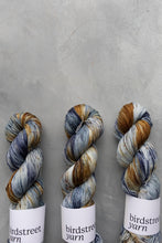 Load image into Gallery viewer, Turn The Tide - 4ply -  hand dyed yarn
