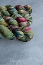 Load image into Gallery viewer, Reimagined Yarn Club - 4ply - December: Rockin&#39; Robin
