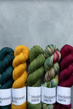 Load image into Gallery viewer, Rockin&#39; Robin - 4ply
