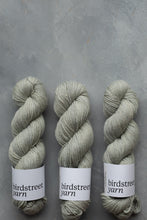 Load image into Gallery viewer, Seaglass - DK Merino /linen
