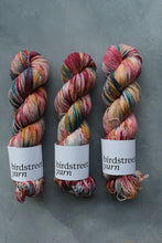 Load image into Gallery viewer, Season Of The Soul - 4ply - Hand-dyed yarn
