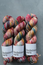 Load image into Gallery viewer, Season Of The Soul - 4ply - Hand-dyed yarn
