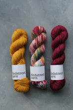 Load image into Gallery viewer, Season Of The Soul - 4ply - Hand-dyed yarn
