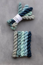 Load image into Gallery viewer, Skye Minis Set - 4ply - 5x20g minis
