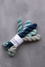 Load image into Gallery viewer, Skye Minis Set - 4ply - 5x20g minis
