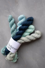 Load image into Gallery viewer, Skye Minis Set - 4ply - 5x20g minis

