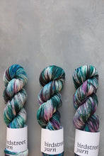 Load image into Gallery viewer, Sky Pirate - 4ply - Hand-dyed yarn
