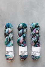 Load image into Gallery viewer, Sky Pirate - 4ply - Hand-dyed yarn
