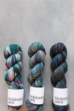 Load image into Gallery viewer, Sky Pirate - 4ply - Hand-dyed yarn
