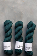 Load image into Gallery viewer, Spruced sparkle - 4ply - Hand-dyed yarn

