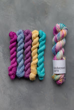 Load image into Gallery viewer, Reimagined Yarn Club - 4ply - October: Still Frozen HD
