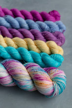 Load image into Gallery viewer, Reimagined Yarn Club - 4ply - October: Still Frozen HD
