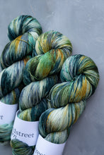 Load image into Gallery viewer, Tales From The Riverbank - 4ply - Hand-dyed yarn
