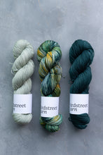 Load image into Gallery viewer, Tales From The Riverbank - 4ply - Hand-dyed yarn
