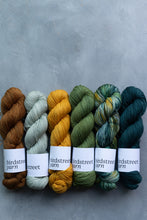 Load image into Gallery viewer, Tales From The Riverbank - 4ply - Hand-dyed yarn
