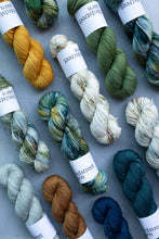 Load image into Gallery viewer, Tales From The Riverbank - 4ply - Hand-dyed yarn
