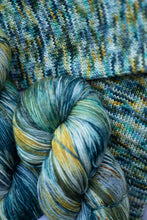 Load image into Gallery viewer, Tales From The Riverbank - 4ply - Hand-dyed yarn
