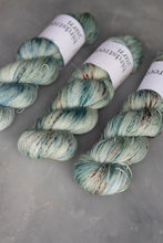Load image into Gallery viewer, The Quiet Hours - 4ply - Hand-dyed yarn
