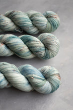 Load image into Gallery viewer, The Quiet Hours - 4ply - Hand-dyed yarn
