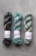 Load image into Gallery viewer, The Quiet Hours - 4ply - Hand-dyed yarn
