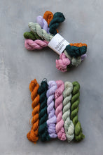 Load image into Gallery viewer, Traitors Minis - 4ply - 6x20g minis

