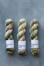 Load image into Gallery viewer, Twinset And Purl - 4ply - Hand-dyed yarn
