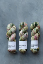 Load image into Gallery viewer, Twinset And Purl - 4ply - Hand-dyed yarn
