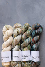Load image into Gallery viewer, Where The Wild Things Are - 4ply - Hand-dyed yarn
