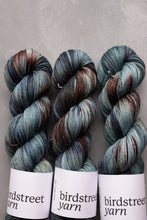Load image into Gallery viewer, Wild Wood - 4ply - Hand-dyed yarn
