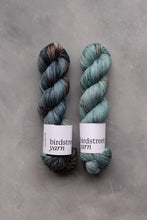 Load image into Gallery viewer, Wild Wood - 4ply - Hand-dyed yarn
