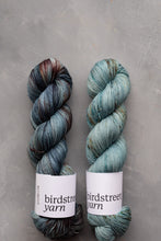 Load image into Gallery viewer, Wild Wood - 4ply - Hand-dyed yarn
