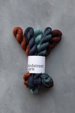 Load image into Gallery viewer, Wildwood Minis Set - 4ply - 5x20g minis
