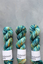 Load image into Gallery viewer, Zingfisher - 4ply - Hand-dyed yarn
