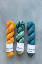 Load image into Gallery viewer, Zingfisher - 4ply - Hand-dyed yarn
