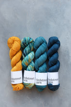 Load image into Gallery viewer, Zingfisher - 4ply - Hand-dyed yarn
