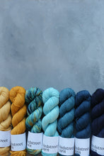 Load image into Gallery viewer, Zingfisher - 4ply - Hand-dyed yarn
