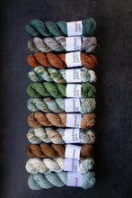 Load image into Gallery viewer, Frog- 4ply - Hand-dyed yarn
